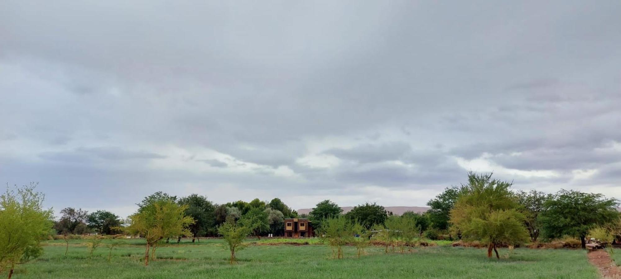 Foresta Atacama Lodge サン・ペドロ・デ・アタカマ エクステリア 写真