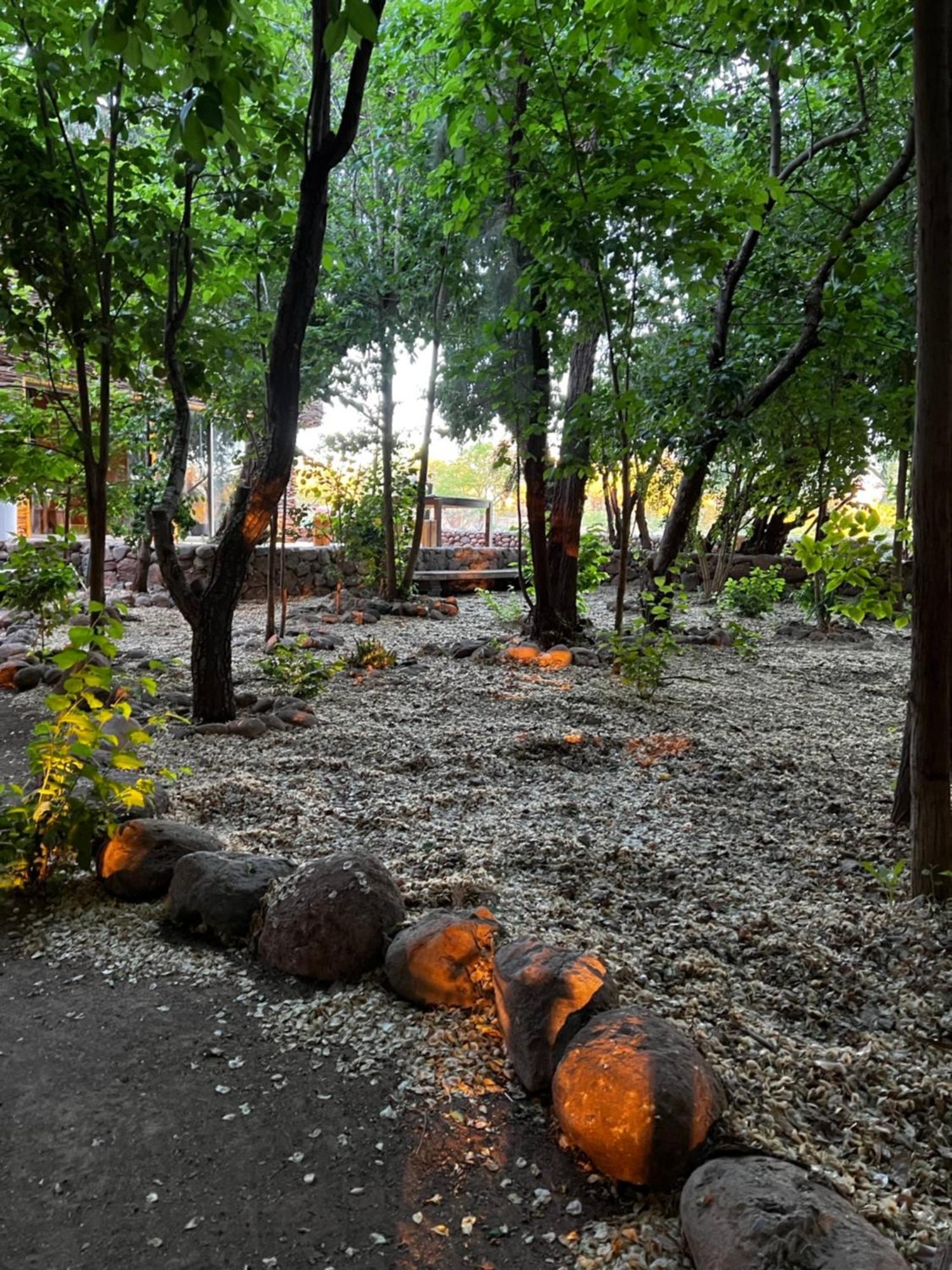 Foresta Atacama Lodge サン・ペドロ・デ・アタカマ エクステリア 写真