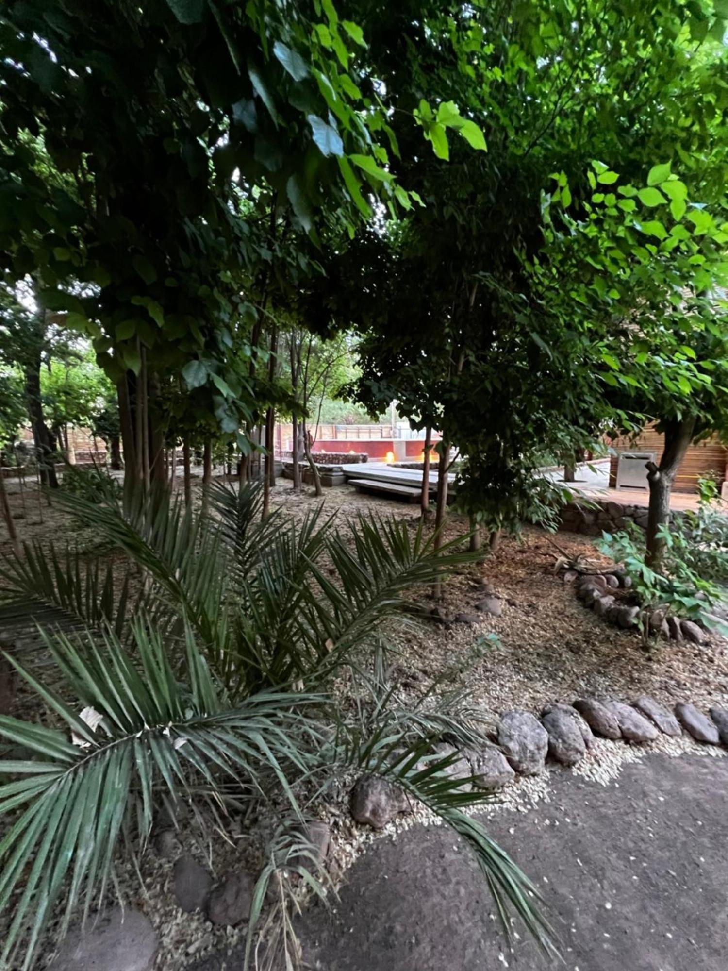 Foresta Atacama Lodge サン・ペドロ・デ・アタカマ エクステリア 写真